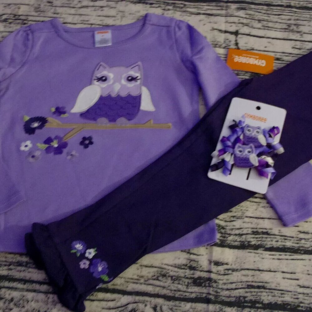Gymboree Whooo's Cute 4T Purple Leggings Owl Shirt Hair Curly Clips Outfit